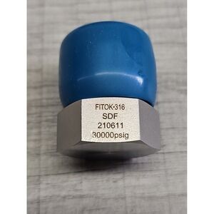 FITOK SS-HPP-TM16 Pipe Plug 316 Stainless Steel PMH Series 30000 psig 1-12 Male